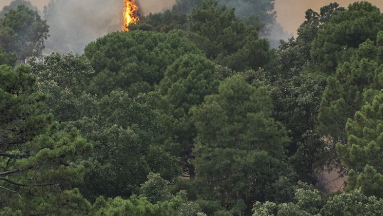 ep vista del incendio cerca de la charca de la nieta a 26 de julio de 2026 en piedralaves avila