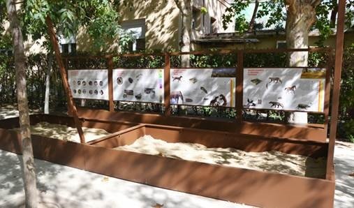 ep yacimiento educativo del museo nacional de ciencias naturales mncn del csic