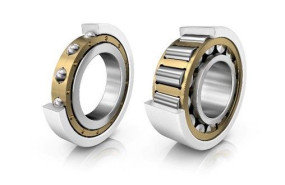 imagen1 1 20250204190527