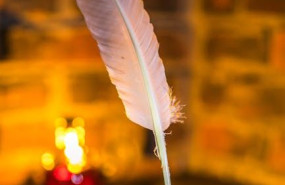 pexels pexels photo 7978823