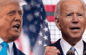 trumpcbbiden55