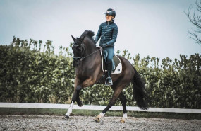 whatsapp image 2023 05 29 at 225015 4