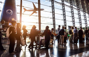 ep archivo   pasaros en un aeropuerto con un avion sobrevolando de fondo