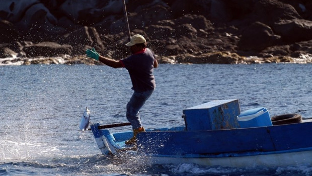 ep archivo   pescador