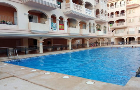ep archivo   piscina comunitaria en una urbanizacion de almeria andalucia