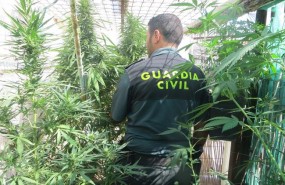 ep imagenarchivouna incautacionmarihuana