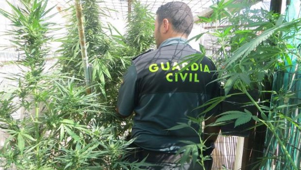 ep imagenarchivouna incautacionmarihuana