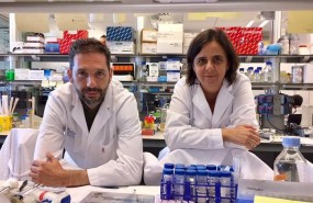 ep investigadores descubrennueva funcionuna proteinacancer mama