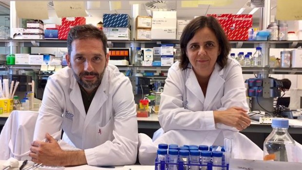 ep investigadores descubrennueva funcionuna proteinacancer mama