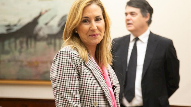 ep la vicesecretaria de organizacion del pp y presidenta del partido en navarra ana beltran villalba