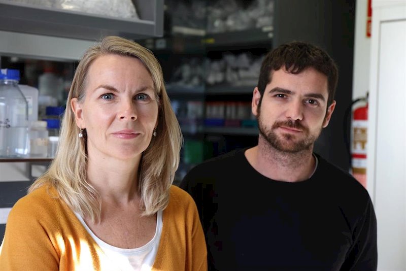 ep los investigadores del huv veronique smits e ignacio alonso