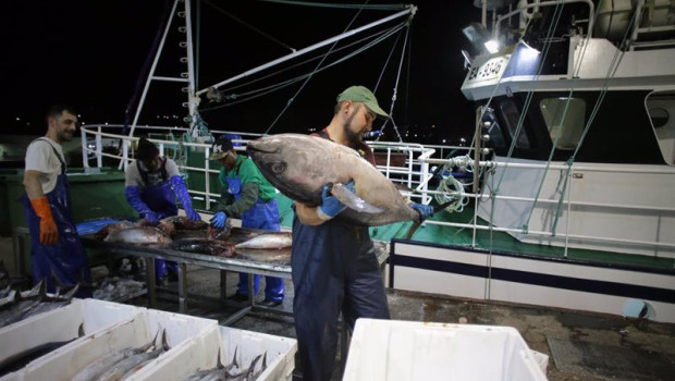 ep marineros de un barco y trabajadores de lonja descargan las piezas pescadas