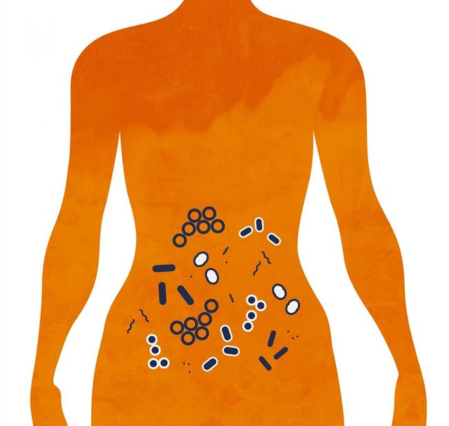 Microbioma en el intestino | ALEXANDRA N. ANGELICH | UNIVERSITY OF VIRGINIA COM ep microbiomaintestino