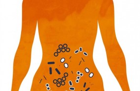 ep microbiomaintestino