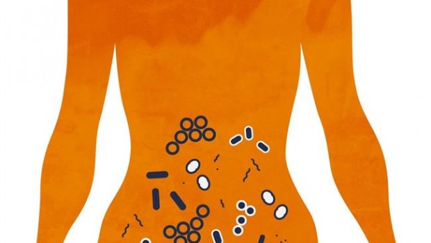 ep microbiomaintestino