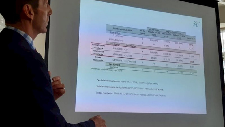 ep pedro berzosa investigador principal del proyecto