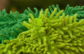 fabrics 1324470 1280 fabrics 1324470 1280