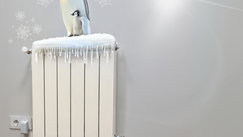 ltimos das 5 1080 x 1080 px