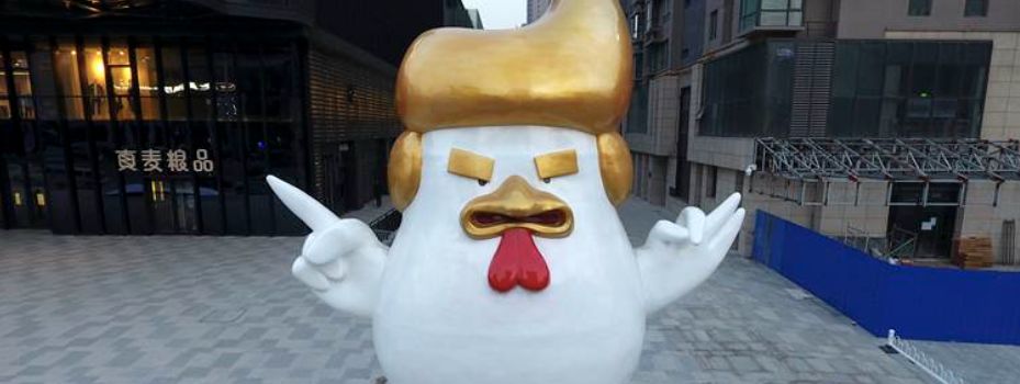 trumpcbpollito111 trumpcbpollito111