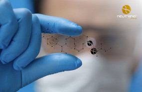 1591876800 neutrino zellen