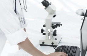 1606752540 laboratorio agroalimentario