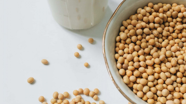 1625573094 pexels polina tankilevitch 4518614 min 