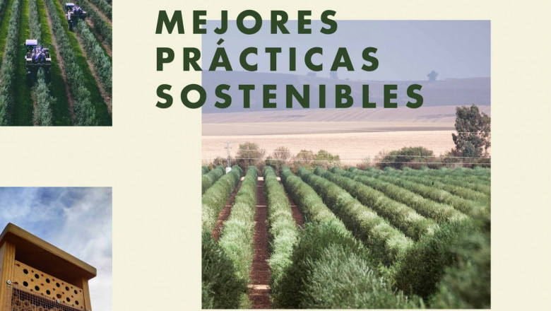 1643278031 fotolife pr cticas sostenibles 