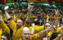 cbtraders miedo fe cbtraders miedo fe