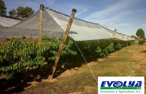 cedec comunicado evolya cedec comunicado evolya