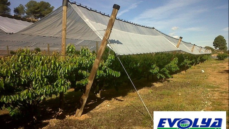 cedec comunicado evolya