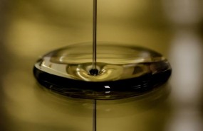 ep aceiteoliva 20170905180902
