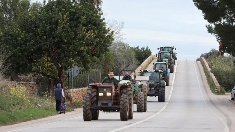 Archivo - Tractores entran por una carretera al centro de Palma de Mallorca durante la décimo cuarta jornada de protestas de los tractores en las carreteras españolas, a 19 de febrero de 2024, en Palma de Mallorca, Mallorca, Baleares (España). | Isaac Buj - Europa Press - Archivo ep archivo tractores entran por una carretera al centro de palma de mallorca durante la decimo