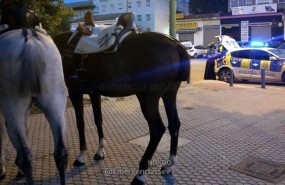 ep caballos intervenidosla policia local