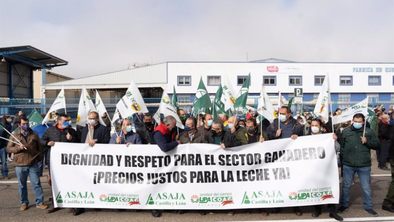 ep concentracion en zamora para reclamar un precio justo de la leche de vaca celebrada el pasado 9