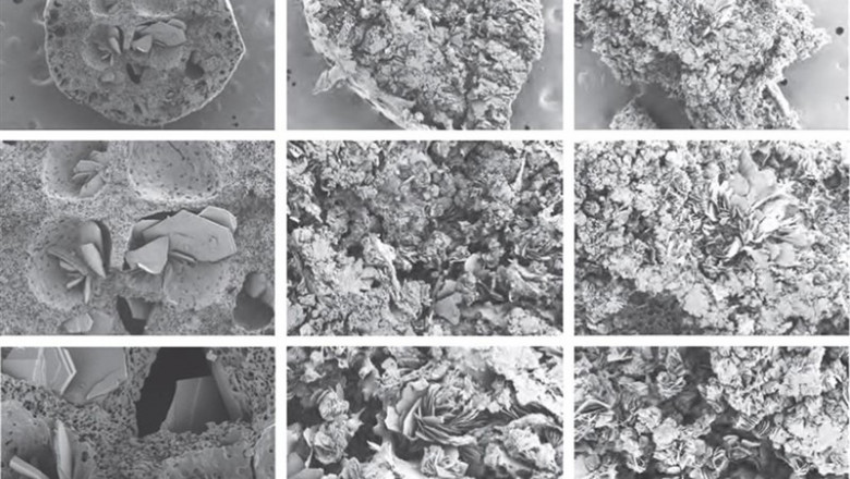Estas son imágenes de la sección transversal SEM del implante después de la liberación del medicamento durante 30 días. | UNC SCHOOL OF MEDICINE ep estas son imagenes de la seccion transversal sem del implante despues de la liberacion del