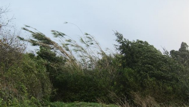 ep fuertes rachasviento