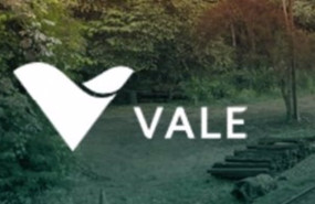 ep la brasilena vale