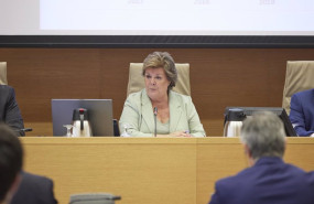 ep la presidenta del tribunal de cuentas enriqueta chicano comparece en la comision para las ep la presidenta del tribunal de cuentas enriqueta chicano comparece en la comision para las