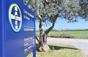 ep las ventas de bayer en espana crecieron un 7 en 2022 hasta los 747 millones de euros ep las ventas de bayer en espana crecieron un 7 en 2022 hasta los 747 millones de euros