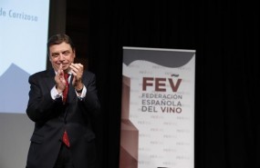 ep luis planasxl aniversariola federacion espanolavino