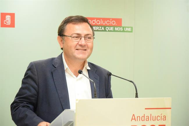 ep miguel angel heredia psoe-a socialista secretario grupo socialista psoe