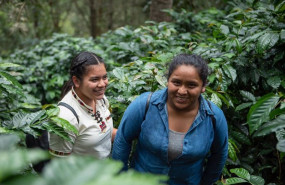ep trabajadoras de la cooperativa de mujeres productoras de cafe en guatemala