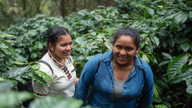 ep trabajadoras de la cooperativa de mujeres productoras de cafe en guatemala