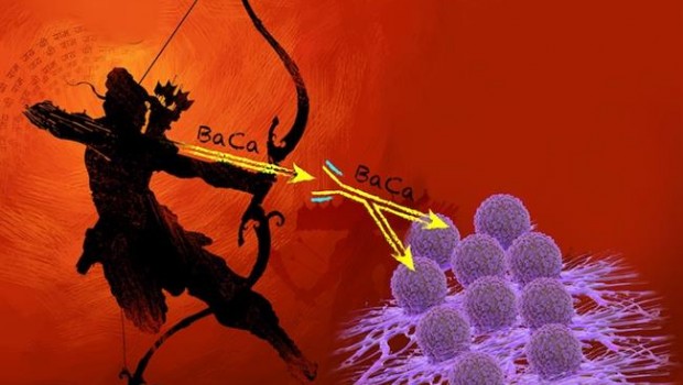 ep una flechados puntas para acabarcancerovario