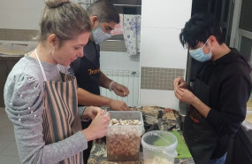 thanksgiving united wayp thanksgiving united wayp