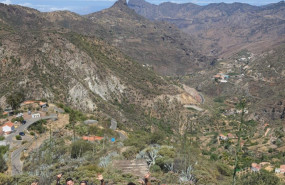 whatsapp image 2023 06 13 at 173451 20230613194326 