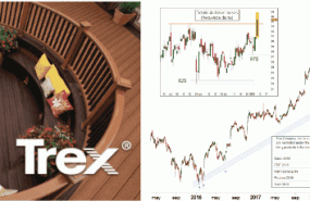 zzzztrexea