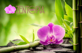 1653045687 zentopia 1653045687 zentopia