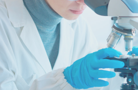 captura de pantalla 2025 06 02 175656