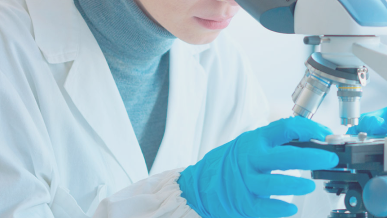 captura de pantalla 2025 06 02 175656